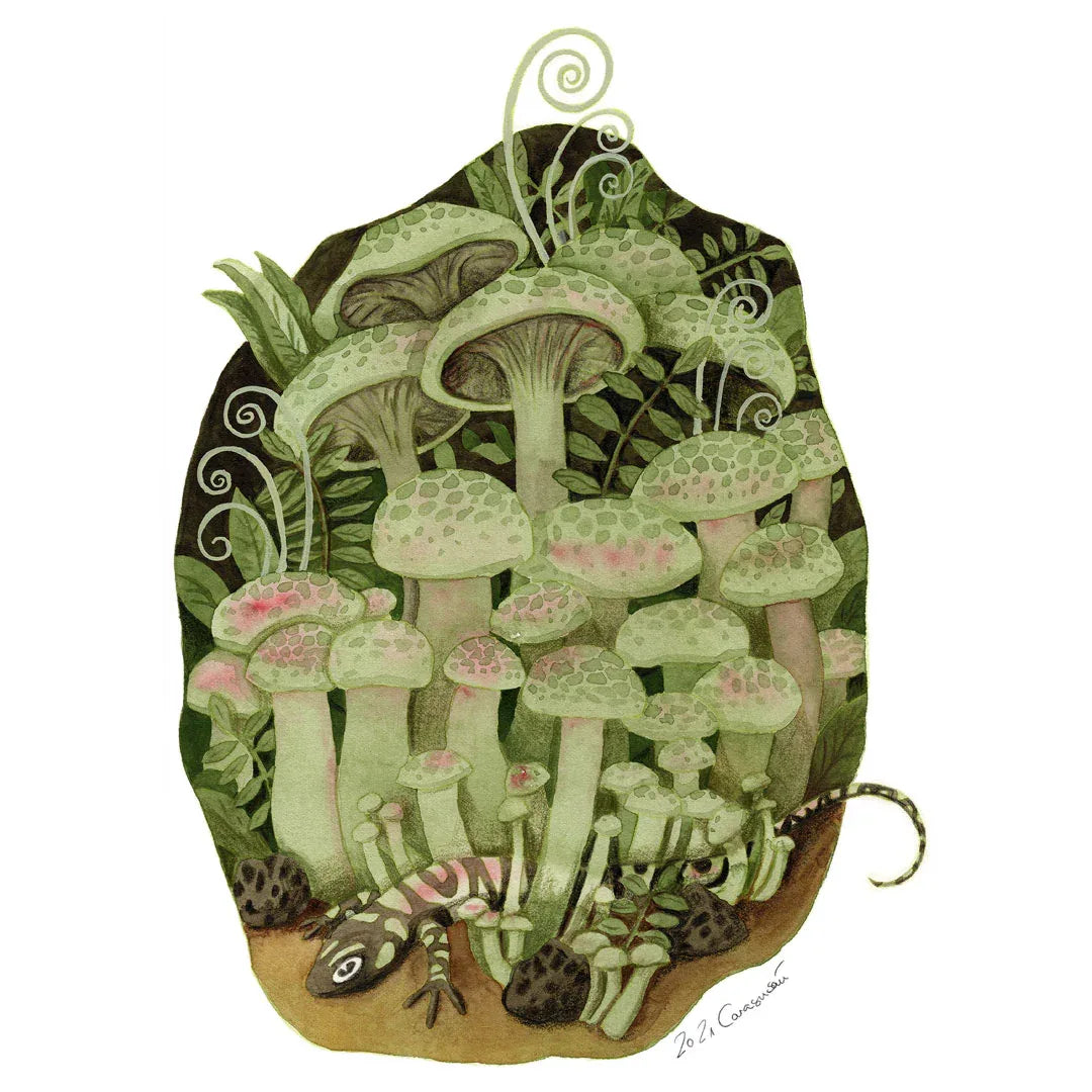 T-Shirt Pilze und Salamander | V-Ausschnitt | weiß | 100% Baumwolle | Damen | Mädchen - Carasusan