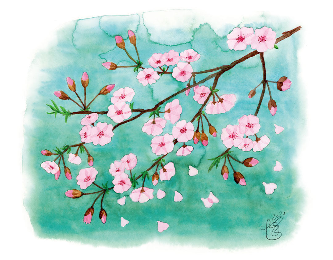 Leinwand-Druck Sakura 'Kirschblüten' 45x60cm | auf Keilrahmen