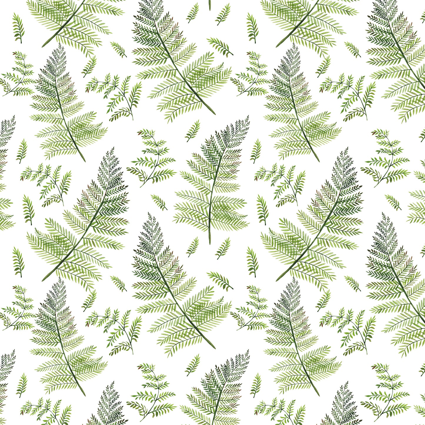Wrapping paper 'Botanical Ferns I' 50x70cm