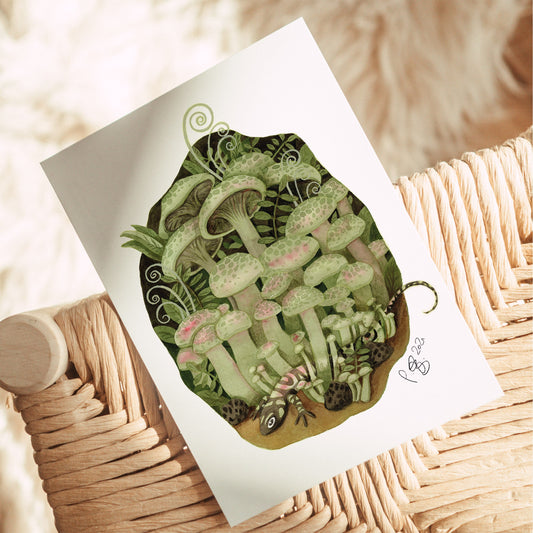 Postcard 'Mushrooms Forest' Watercolor DinA6 | Forest mushrooms | Nature illustration | Gift for nature lover | Mushroom core