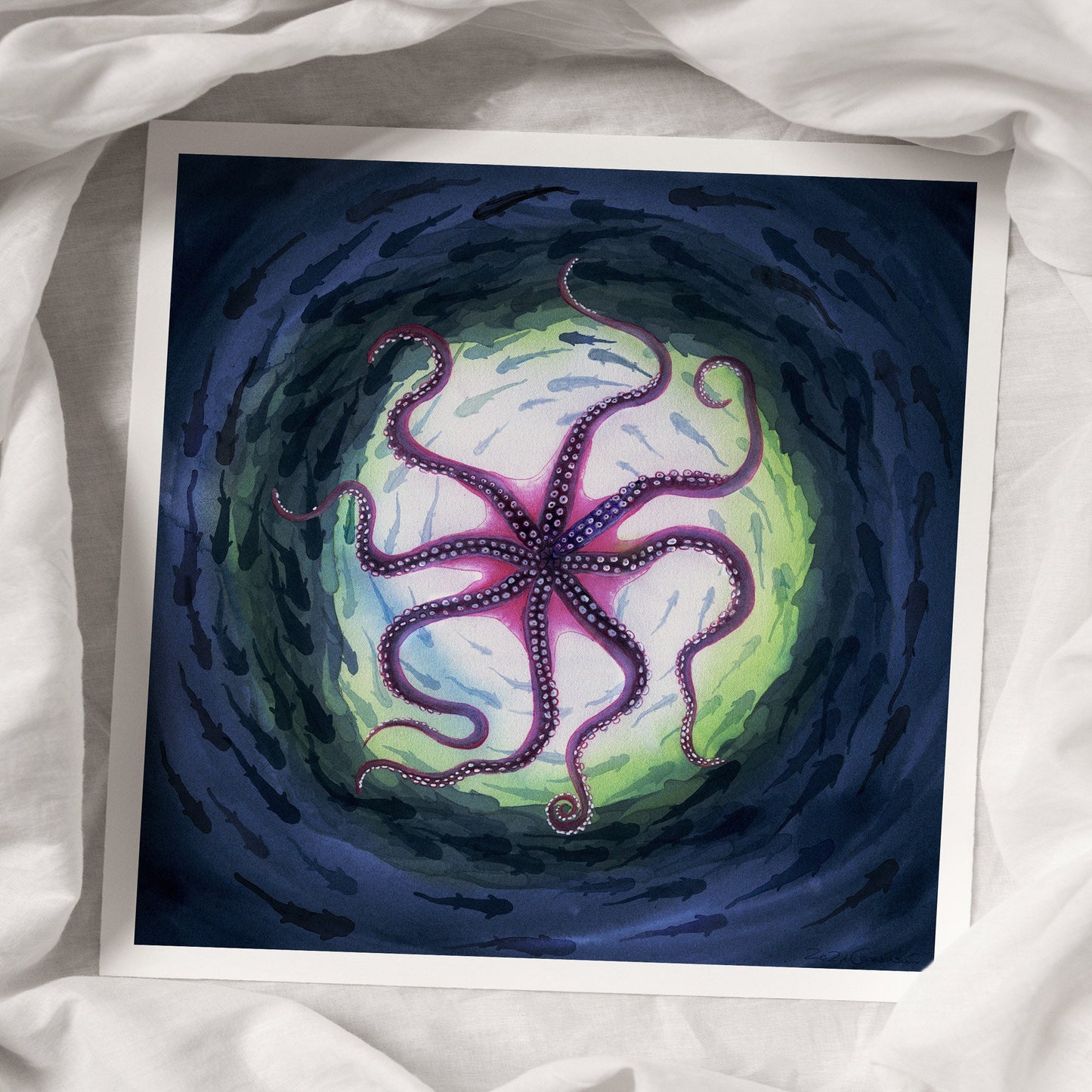 Kunstdruck 'Oktopus' Aquarell - handsigniert - 30x30 oder 40x40cm