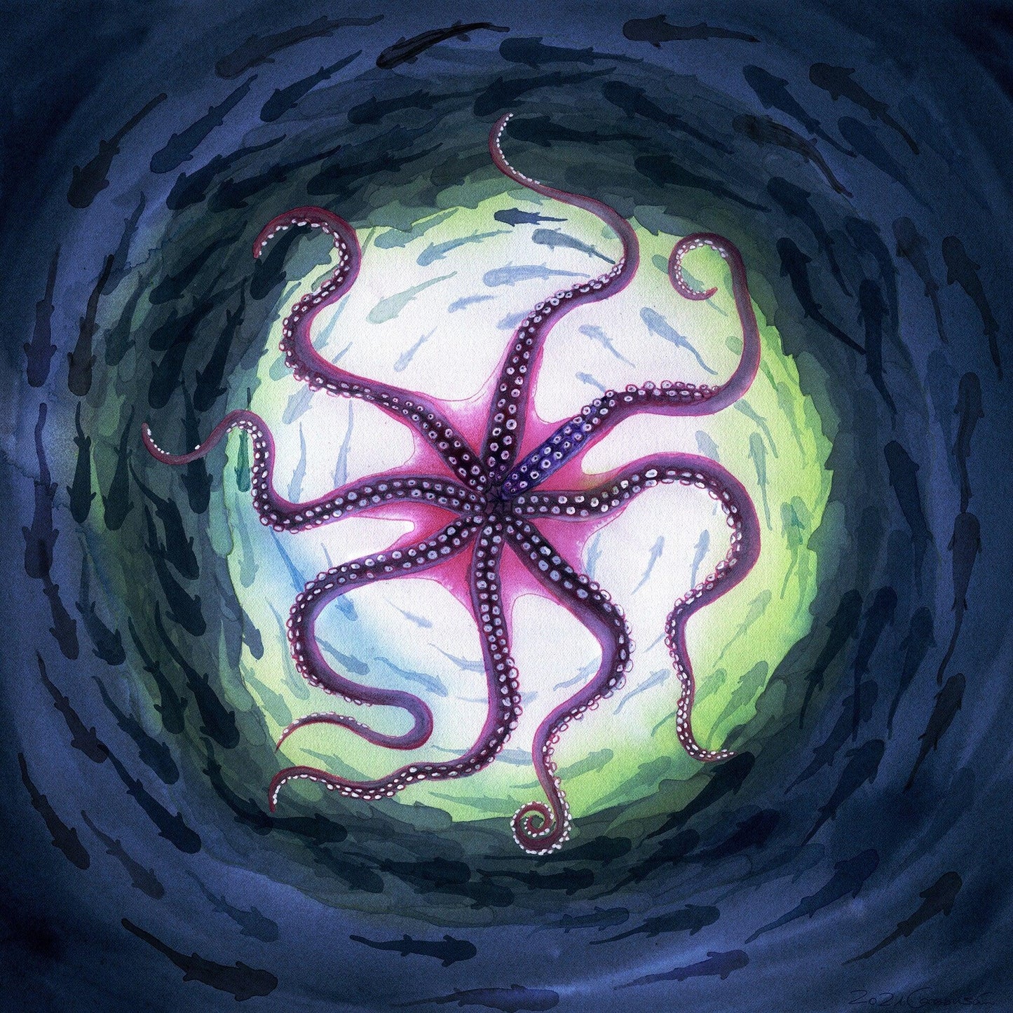 Kunstdruck 'Oktopus' Aquarell - handsigniert - 30x30 oder 40x40cm - Carasusan