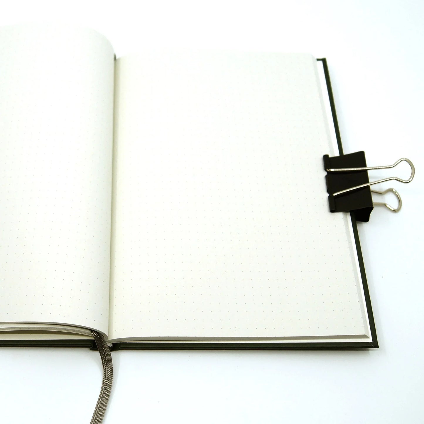 Notizbuch mit Punktraster - Nature Academia Salamander - dunkelgrün mit Lesebändchen - umweltfreundlich - Carasusan