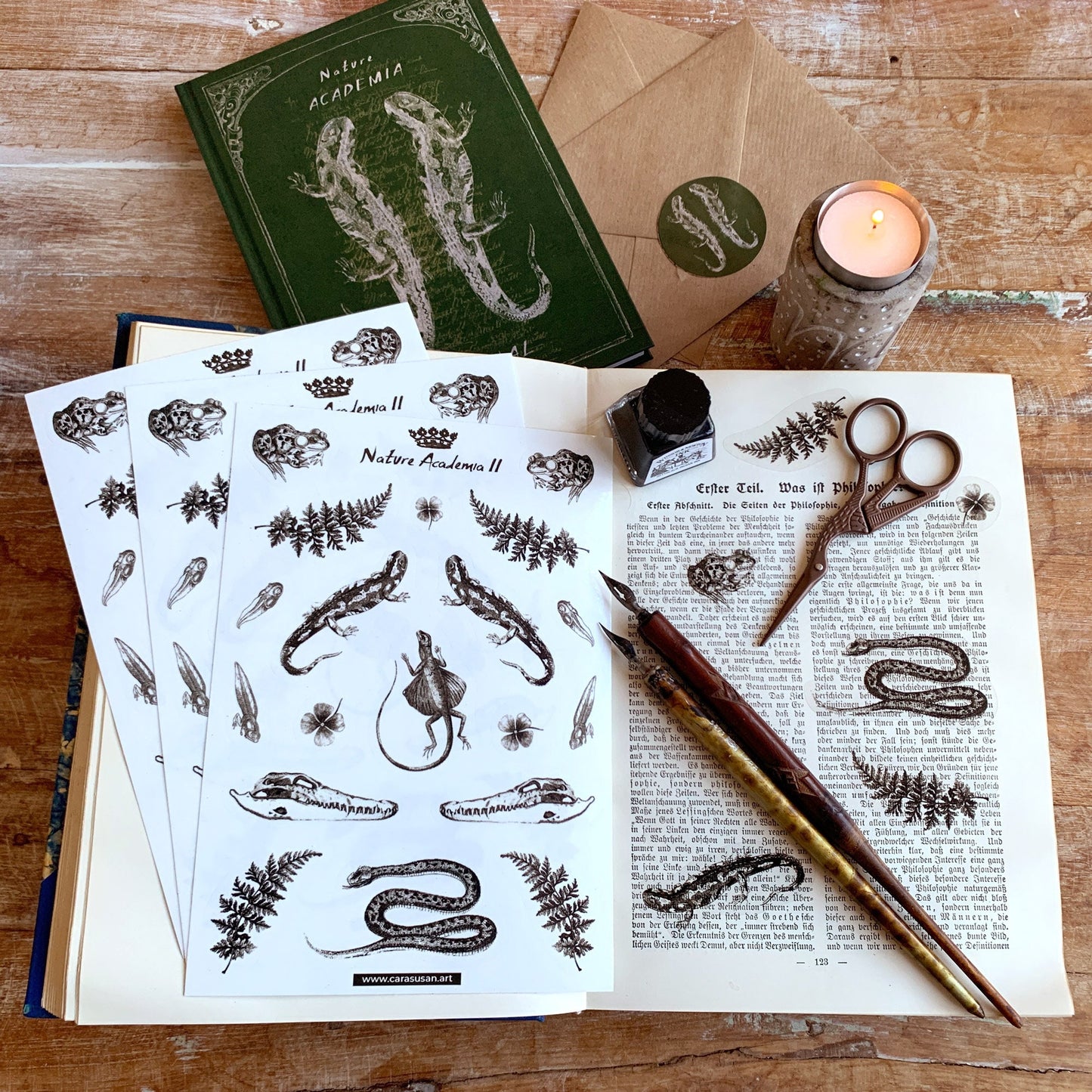 Gothic Sticker transparent, Reptilien und Amphibien, Bulletjournaling Zubehör