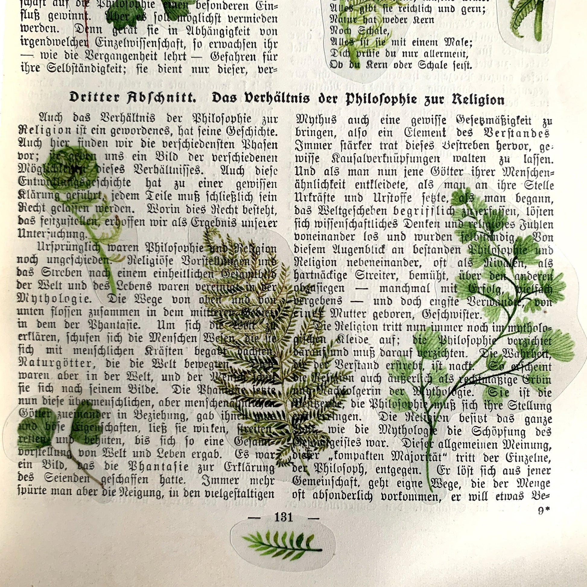 Sticker sheet Ferns - botanical illustration watercolor - transparent - Bullet Journal supplies, Scrapbook, diary, decoration, invitations, forest theme