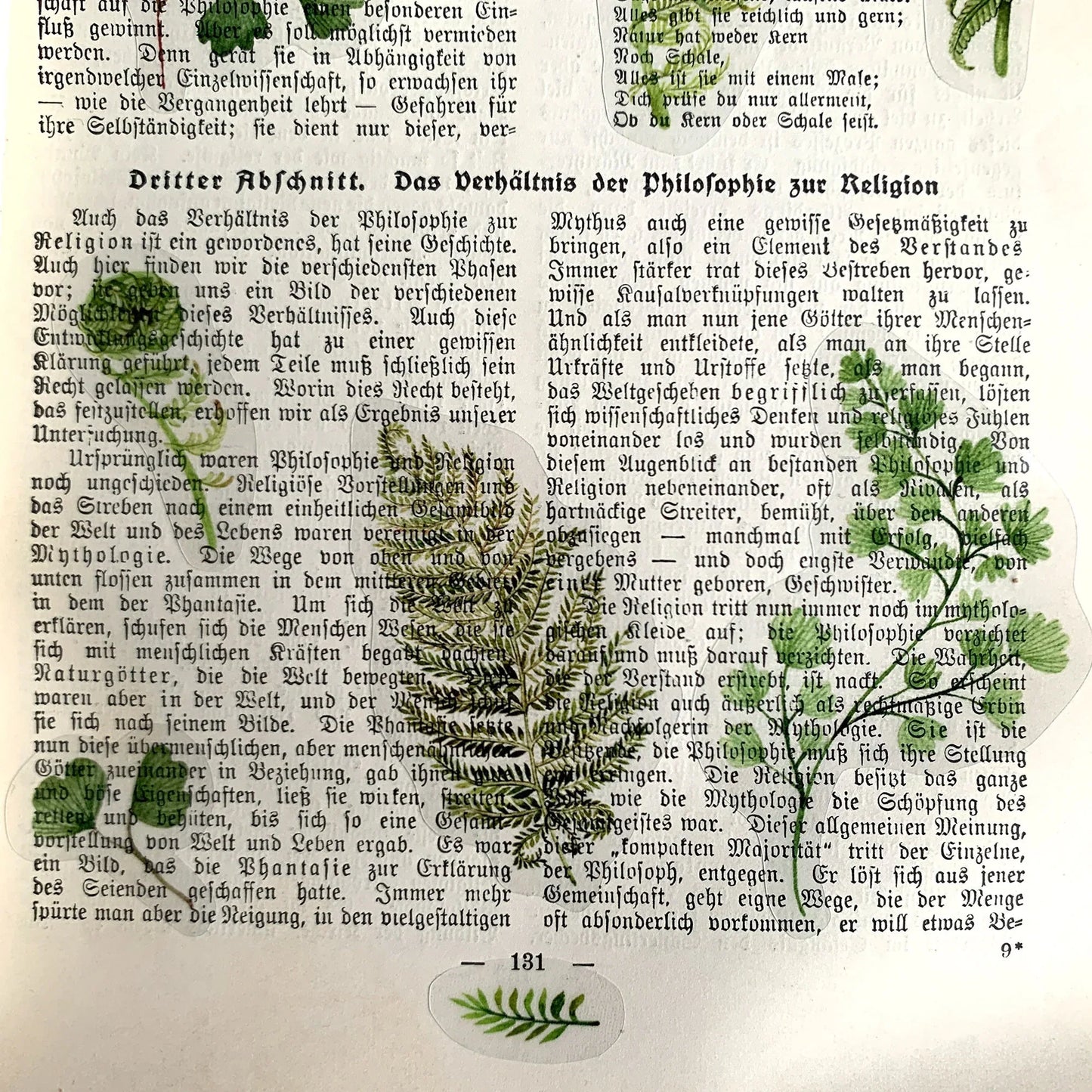 Stickerbogen 'Farne' botanische Illustrationen für Journaling, Deko und mehr - Carasusan