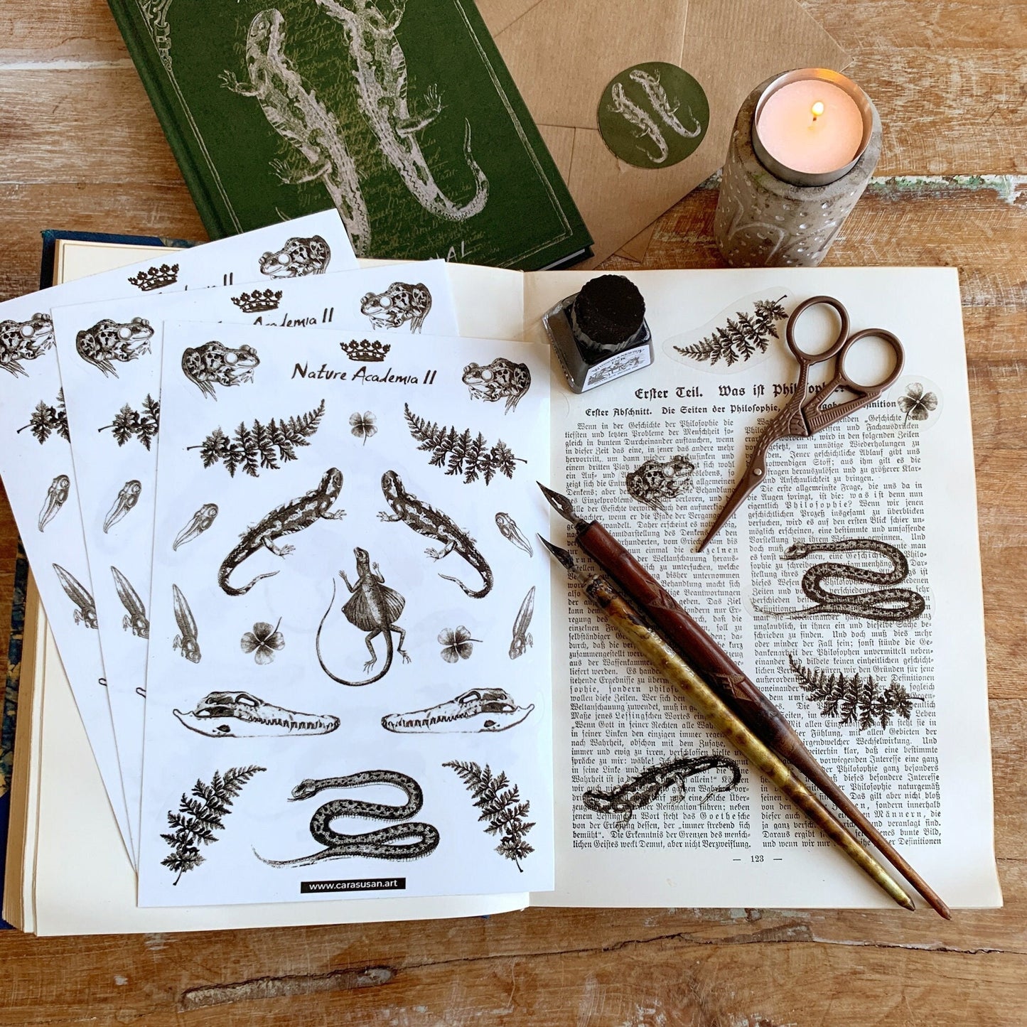 Gothic Sticker tranparent, Reptilien und Amphibien, Bulletjournaling Zubehör