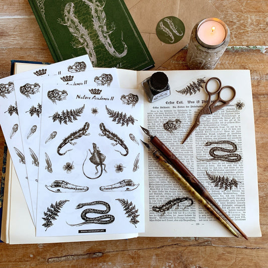 Gothic Sticker  tranparent, Reptilien und Amphibien, Bulletjournaling Zubehör