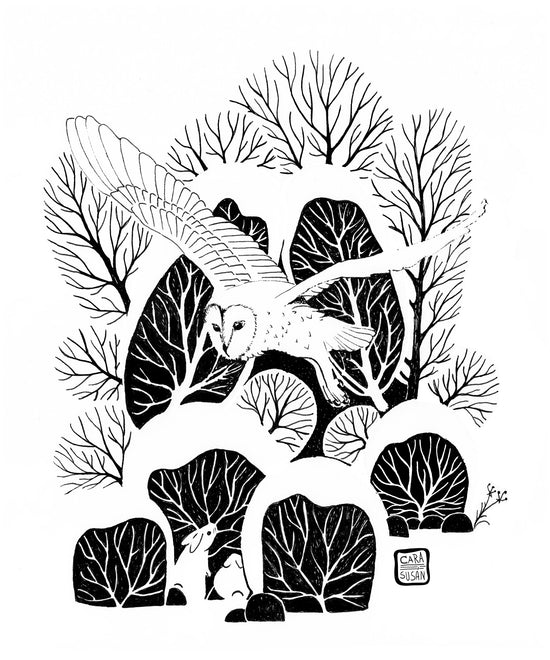 Schleiereule - Barnowl - Zeichentusche/Ink - Gabriele Carasusan