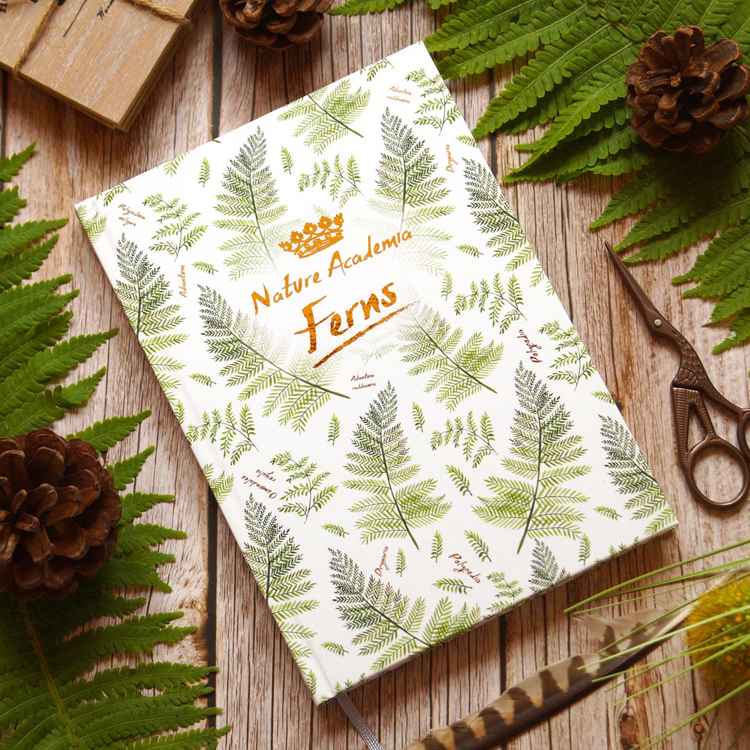 Green academia dot grid notebook 'Botanical Illustrations Fern' with 72 matching stickers and washi tape
