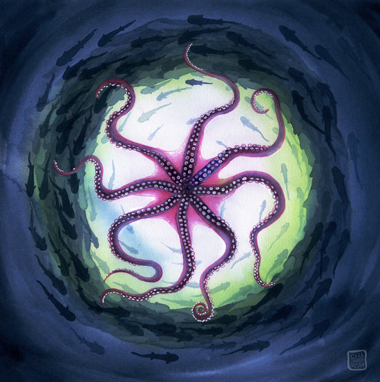 Oktopus Swirl - Zeichentusche und Gouache - Tiefsee-Illustration der Künstlerin Gabriele Carasusan