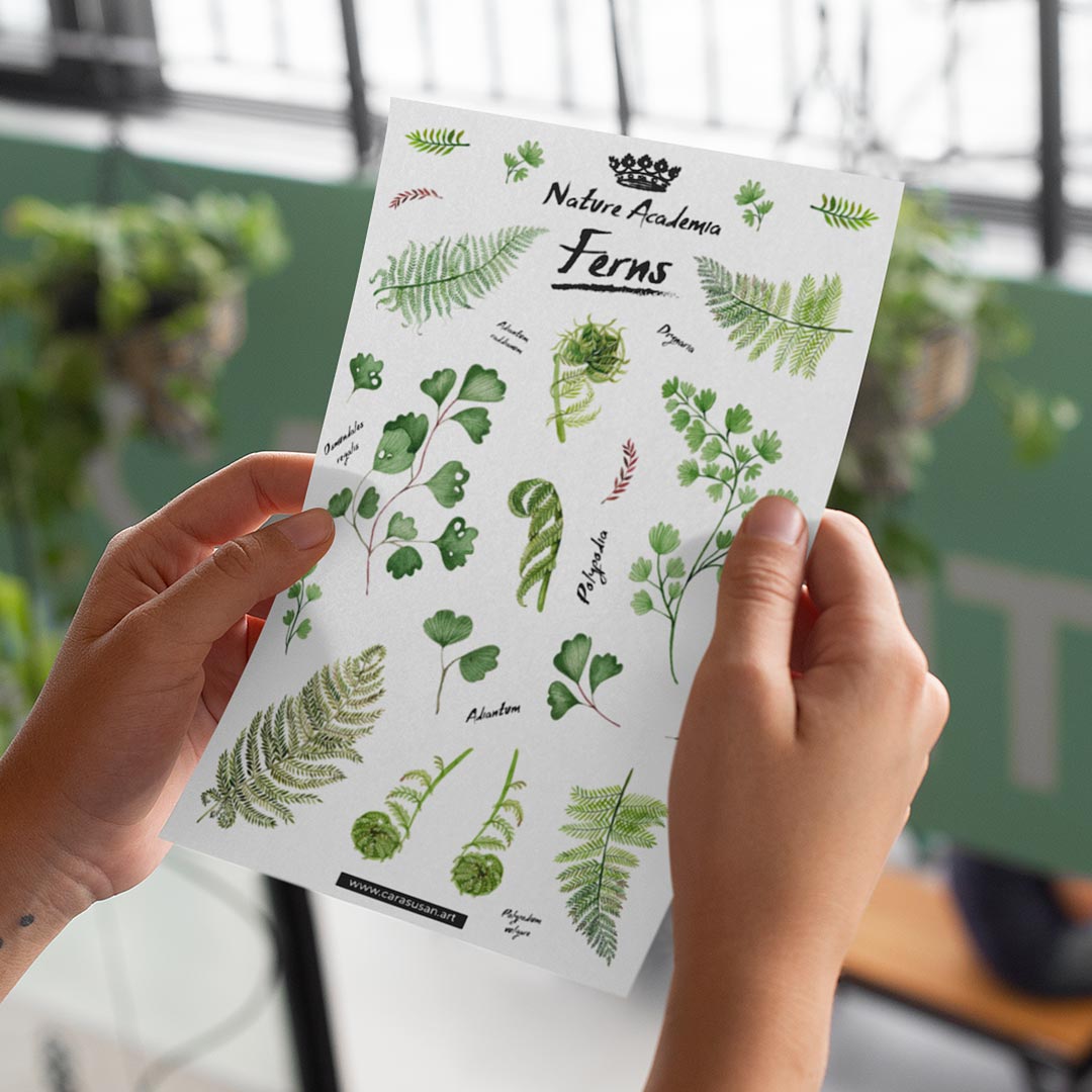 Botanical watercolor illustrations of ferns DinA5 sticker sheet with 22 transparent stickers