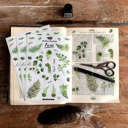 Journaling-Set 'Botanische Farne' | Notizbuch DinA5 mit Punktraster, Washi-Tape und 72 passenden Stickern - Carasusan