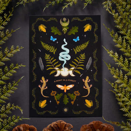 Die atmosphärische DinA6 Dark Academia Postkarte ist ein Kunstwerk mit magischen Elementen, darunter Schlangen, Kröten, geheimnisvolle Schlüsse und verschiedene esoterische Symbole. Ein Muss für Freunde mystischer und magischer Nächte im Wald.
