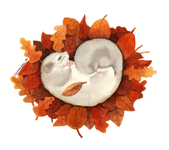 Siebenschläfer im Herbstlaub - herbstliches Aquarell der Künstlein und Illustratorin Gabriele Carasusan