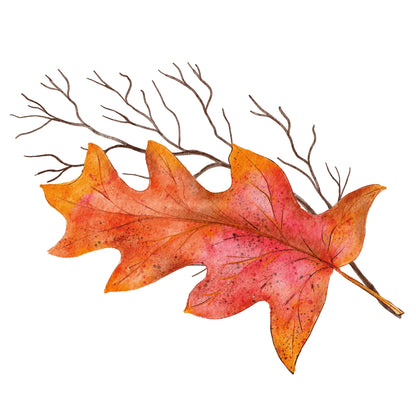 Stickerbogen 'Herbstlaub' botanische Illustrationen für Bullet Journaling, Deko und mehr - Carasusan