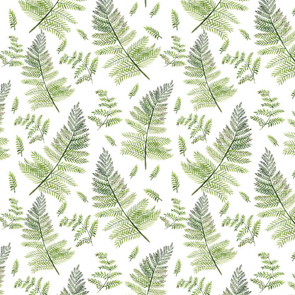 Geschenkpapier 'Botanische Farne I' 50x70cm - Carasusan