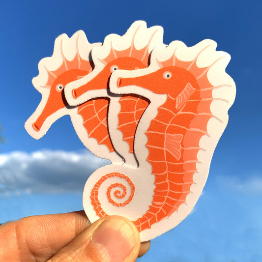 Sticker 3 pieces seahorse, transparent sticker, 8x5cm