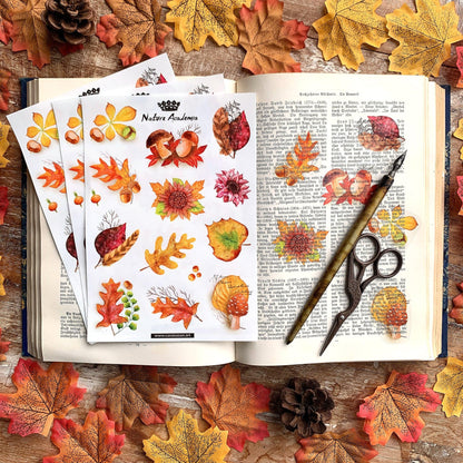 Stickerbogen 'Herbstlaub' botanische Illustrationen für Bullet Journaling, Deko und mehr - Carasusan
