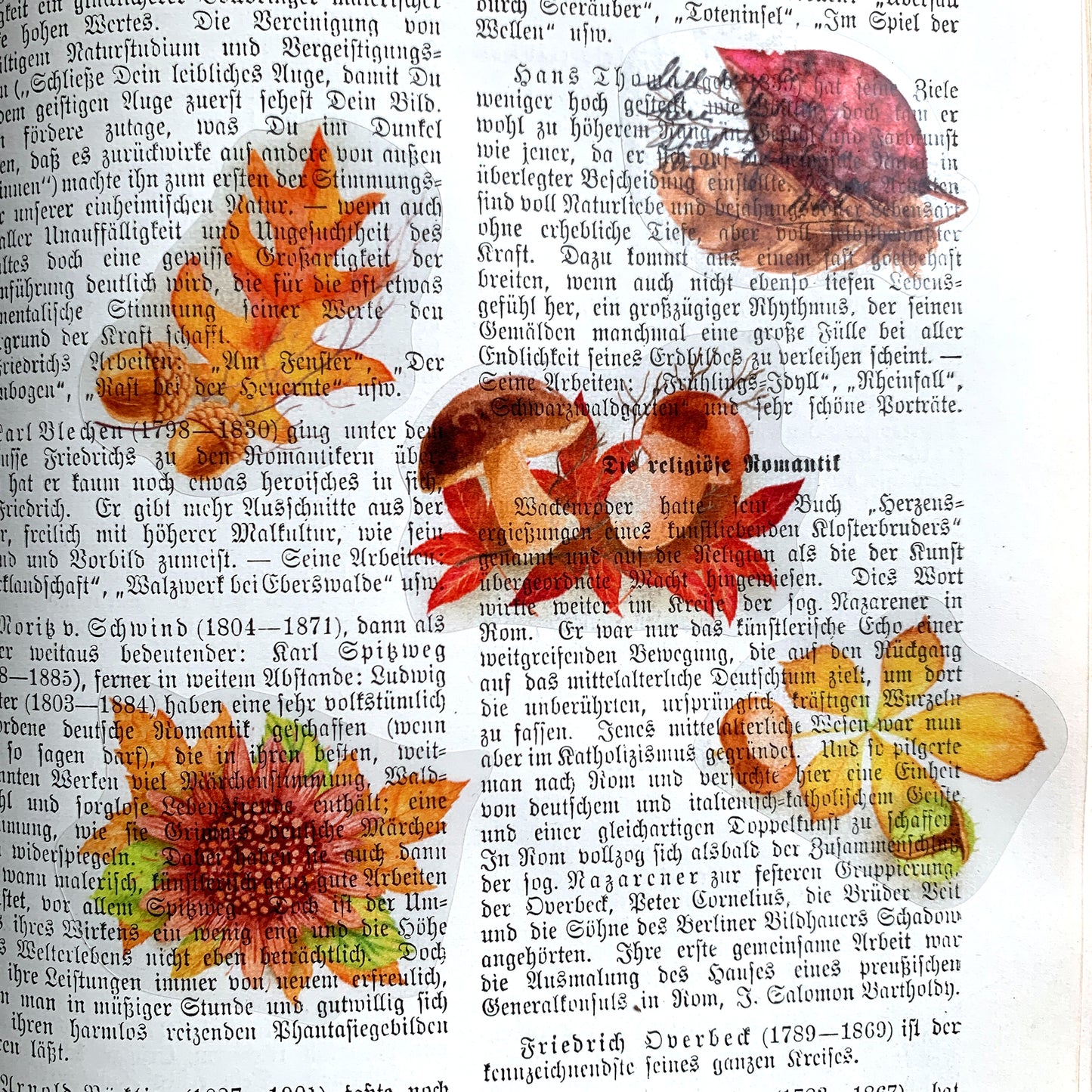 Sticker sheet 'Autumn Leaves' botanical illustrations for bullet journaling, decoration and more