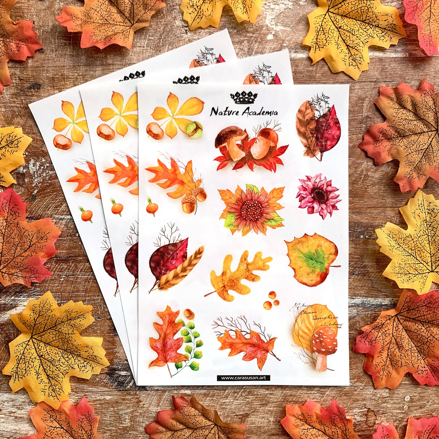 Sticker sheet 'Autumn Leaves' botanical illustrations for bullet journaling, decoration and more