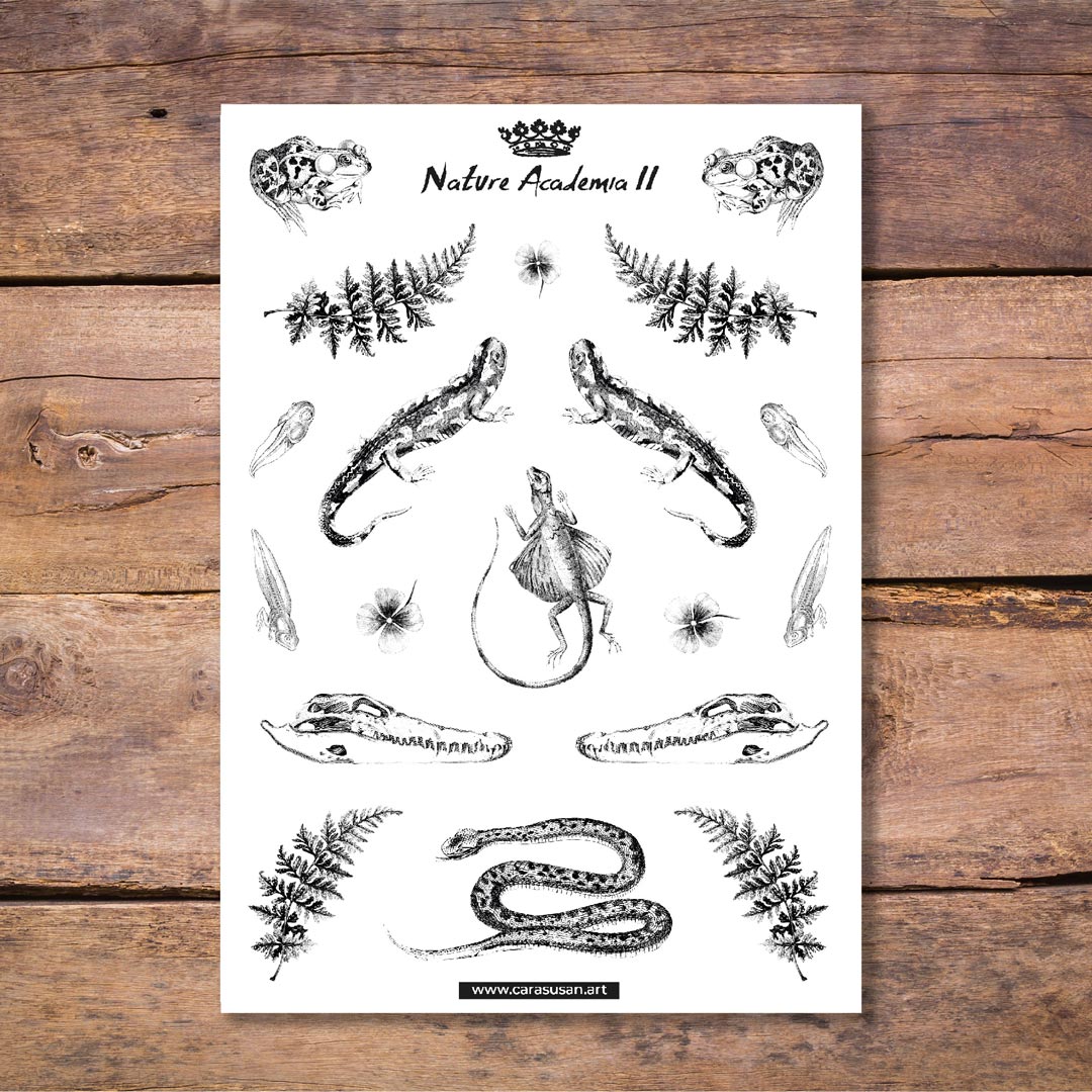 Dark academia Stickersheet with reptiles and amphibians and botanical illustrations