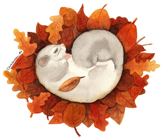 Herbstliche Postkarte 'Niedlicher Siebenschläfer' Aquarell DinA6 - Carasusan