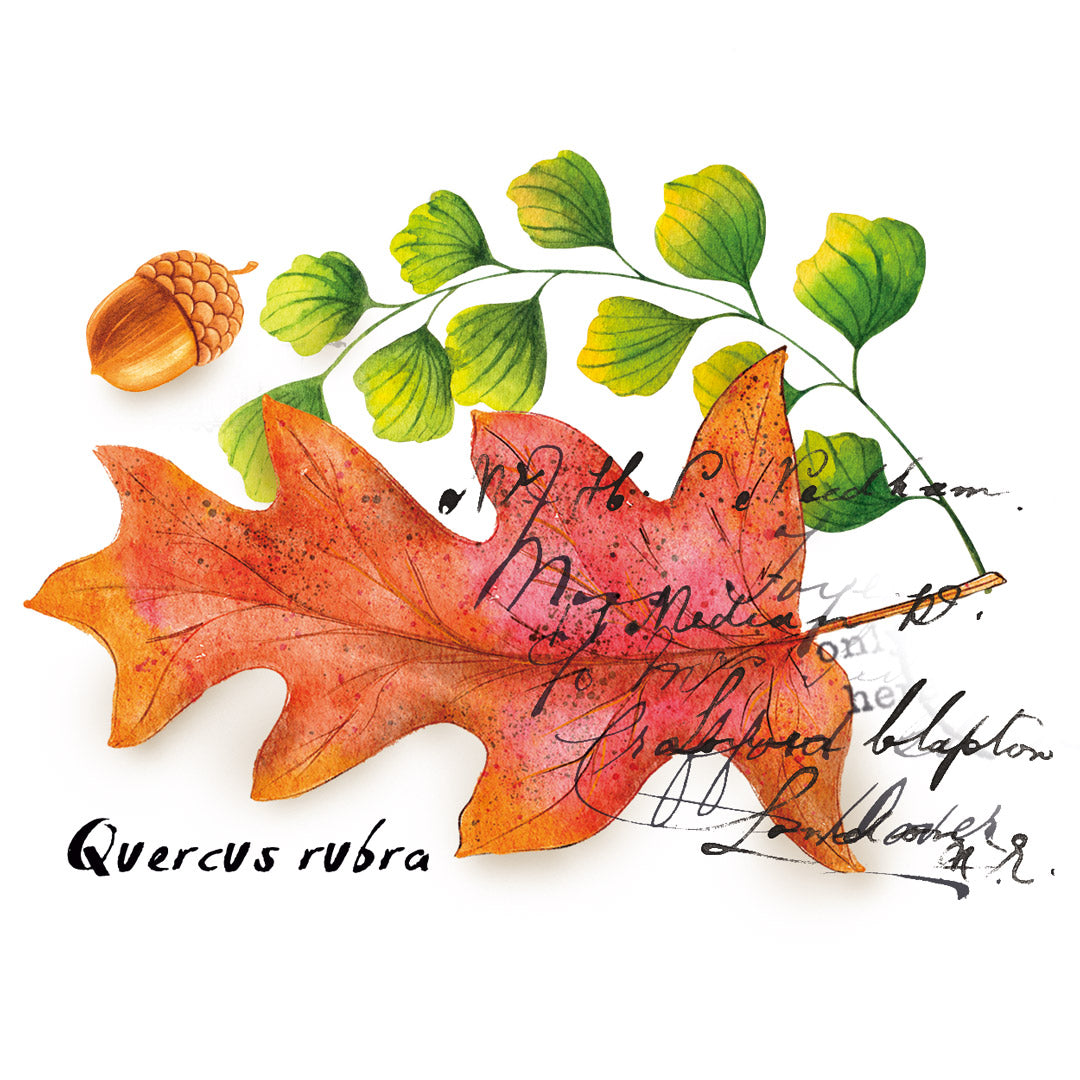 Washi Tape Stamps 'Autumn Leaves' Stickers