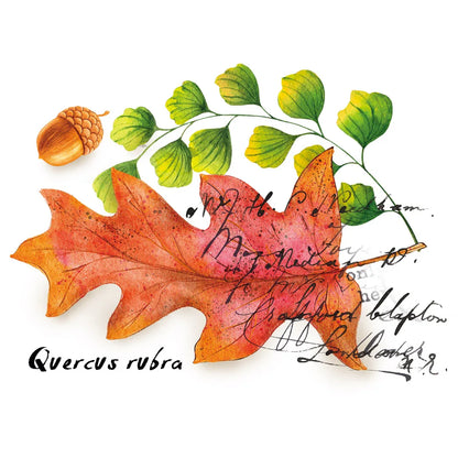 Washitape-Stamps 'Herbstlaub' Aufkleber - Carasusan