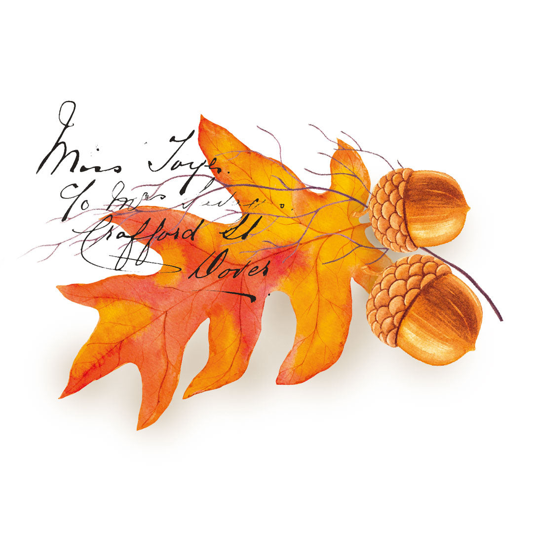 Washi Tape Stamps 'Autumn Leaves' Stickers