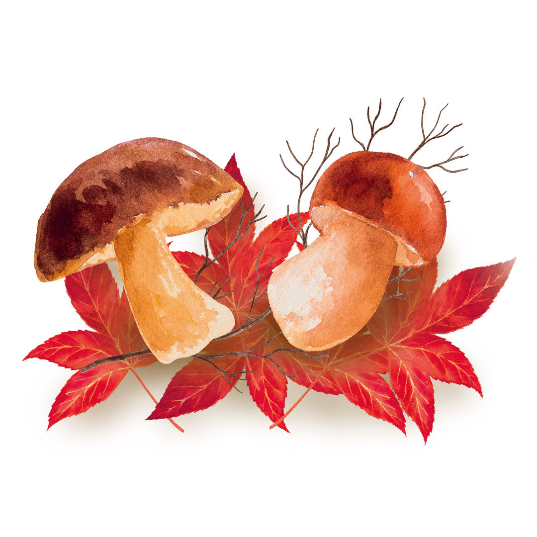 Washi Tape Stamps 'Autumn Leaves' Stickers