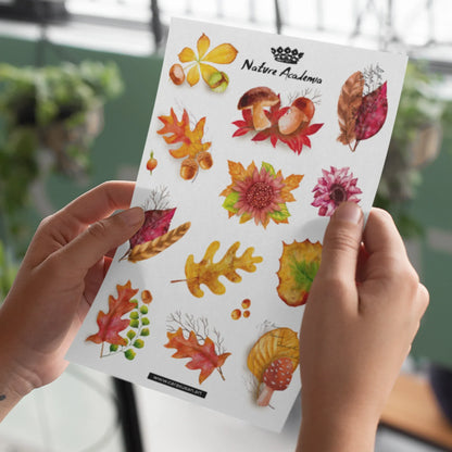 Stickerbogen 'Herbstlaub' botanische Illustrationen für Bullet Journaling, Deko und mehr - Carasusan