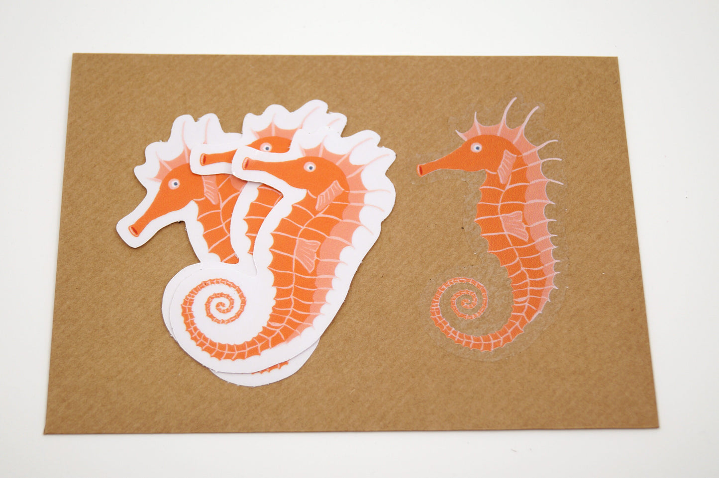 Sticker 3 pieces seahorse, transparent sticker, 8x5cm