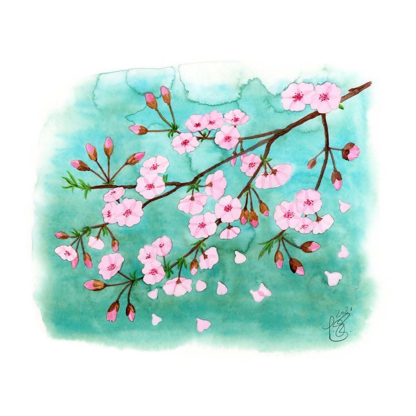 Postcard 'Cherry Blossoms' Watercolor DinA6 Penpal