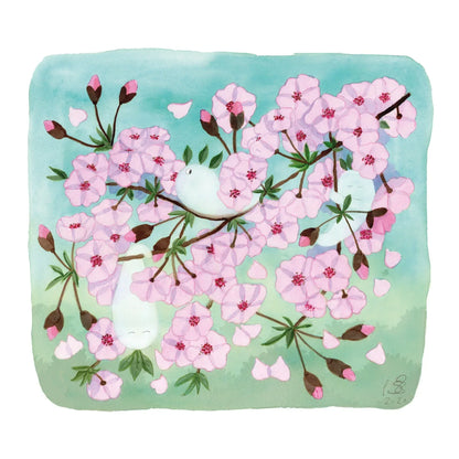 Kirschblüten Postkarten Set | Sakura - Carasusan