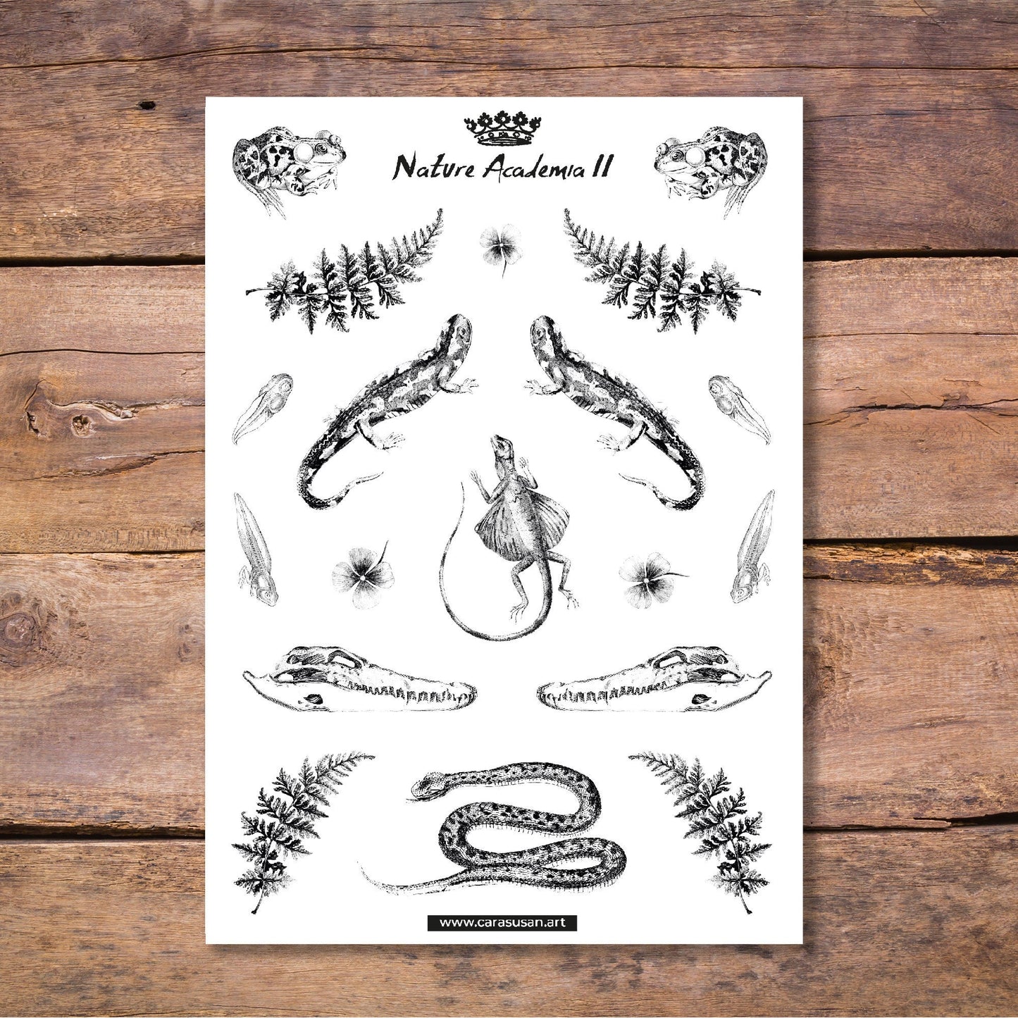 Sticker sheet 'Reptiles and Amphibians' for journaling, decoration and more