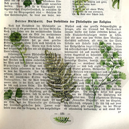 Stickerbogen 'Farne' botanische Illustrationen für Journaling, Deko und mehr - Carasusan