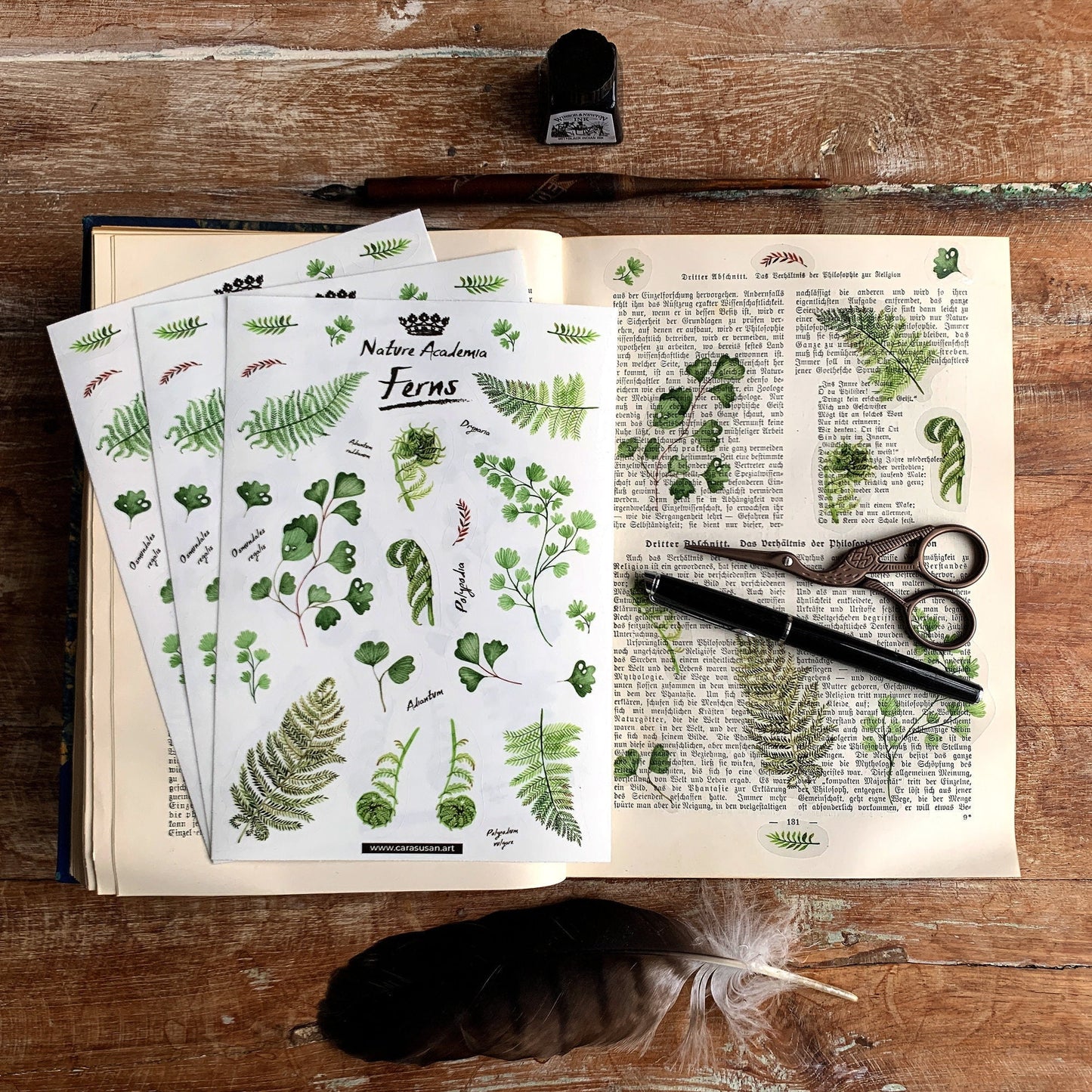 Sticker sheet 'Ferns' botanical illustrations for journaling, decoration and more
