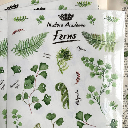 Stickerbogen 'Farne' botanische Illustrationen für Journaling, Deko und mehr - Carasusan