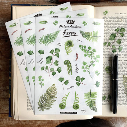 Stickerbogen 'Farne' botanische Illustrationen für Journaling, Deko und mehr - Carasusan